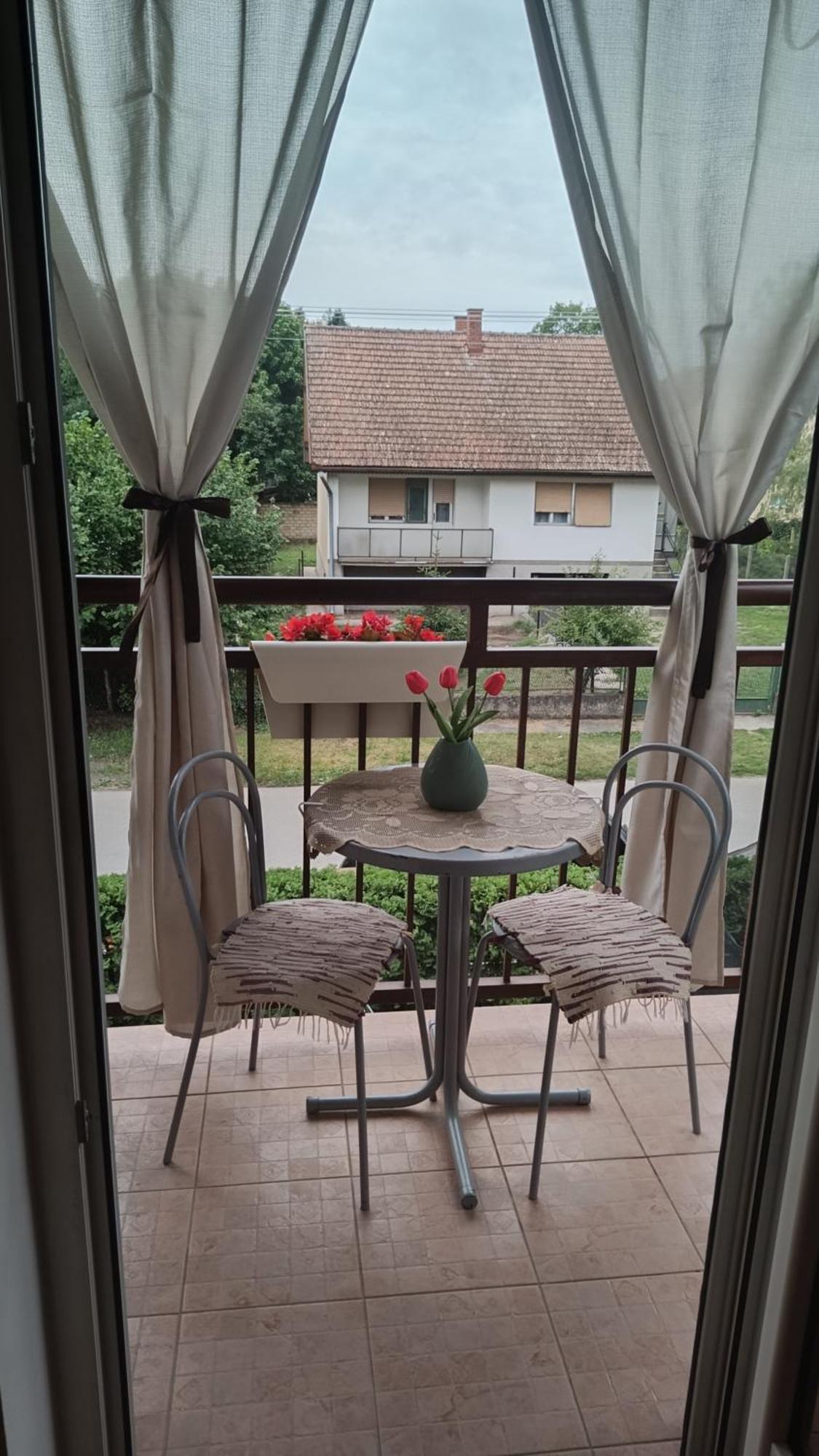 Dora Apartman Palić Eksteriør billede