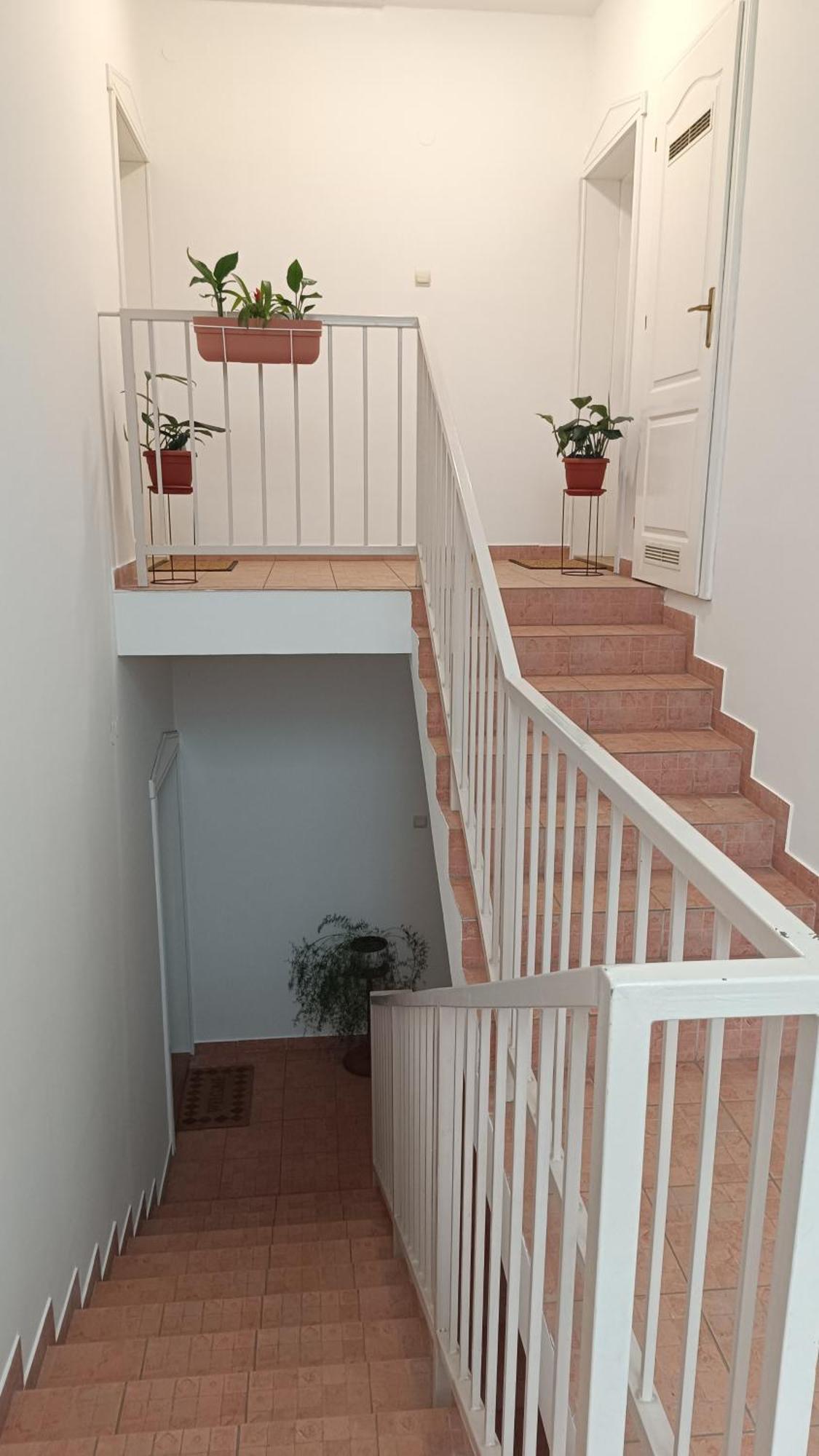 Dora Apartman Palić Eksteriør billede